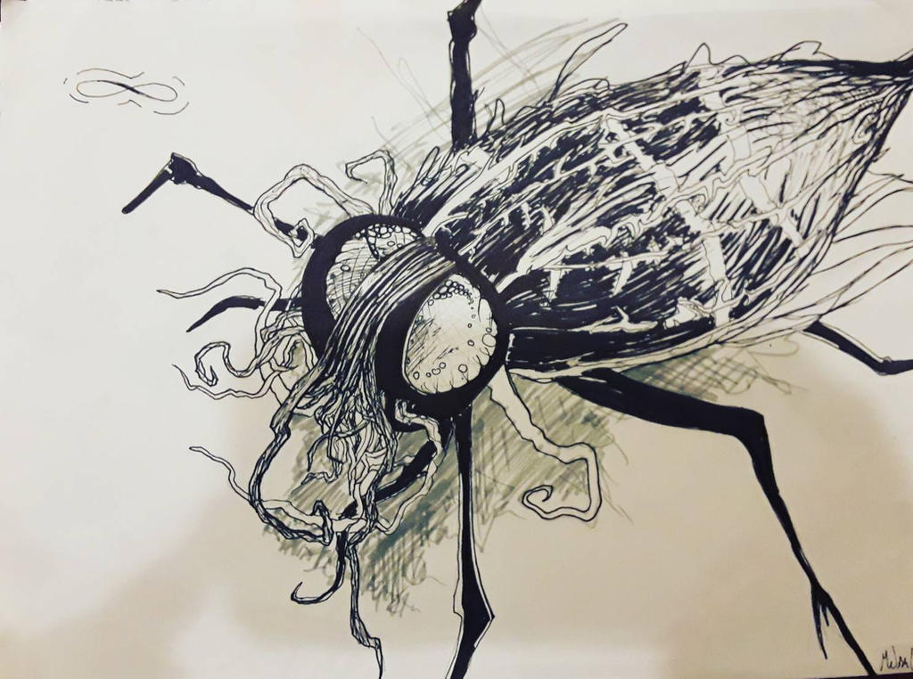 Spider Insect Deviantart spider by Iheartmonsters on DeviantArt