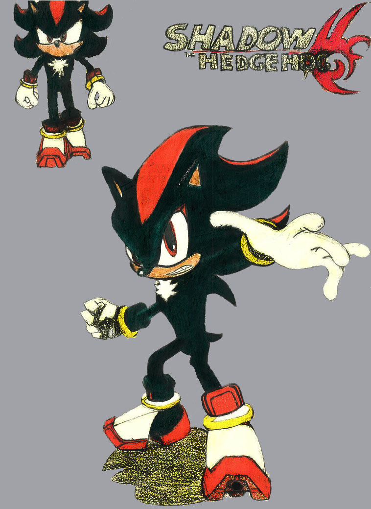 Beware of Shadow the HedgeHog