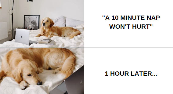 Homework meme by greendrizzle on DeviantArt