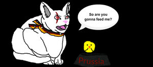 Herp-Derp Prussia Cat GIF by The-Last-Bullet