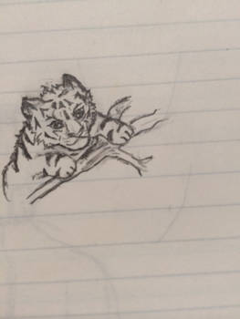 Crappy little tiger