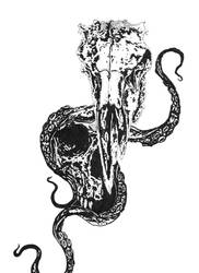 Skull Octopus