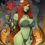 Ivy