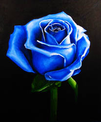 Blue Rose