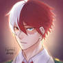 todoroki