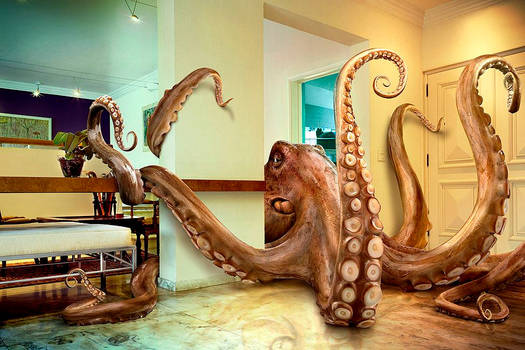 Octopus