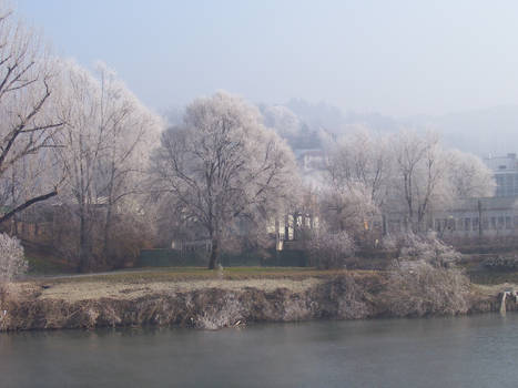 Frosty Torino 2