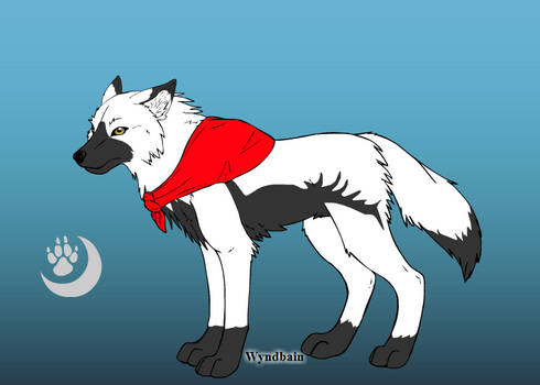 Me As A Wolf... -._-.