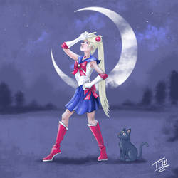 Comical Sailor Moon