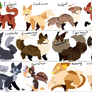 Warrior Cat Challange Redo 