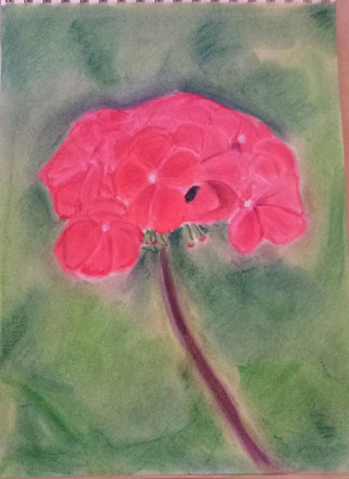 Red Geranium Colored Pastel