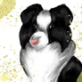 Collie