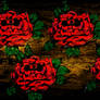 Wacom/ Photoshop 1
