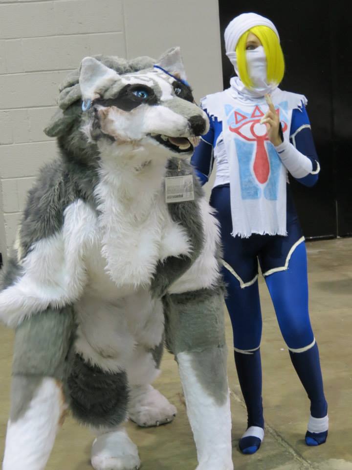 Sheik and Wolf Link