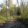 sci-stock - dirt road