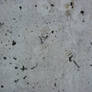 sci-text - cement and holes