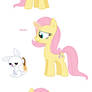 Fluttershy - All Pony Races