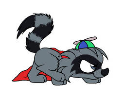 Sneaky Wonder Coon