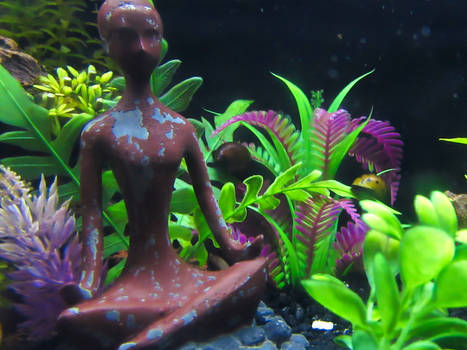 The Underwater Zen Garden