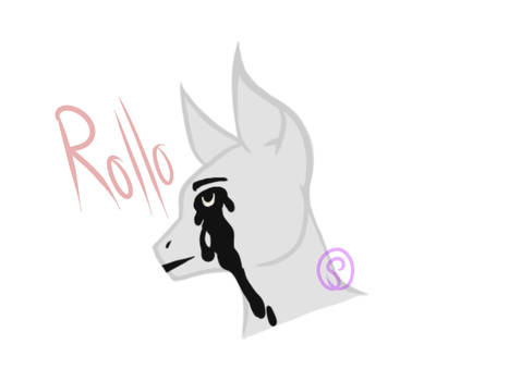 Rollo