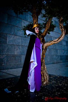 Disney Vallians Evilqueen