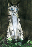 Warrior cats: Silverstream