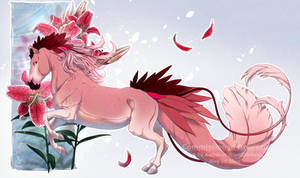 .: Comm. Mingo's Stargazer Lilies :.