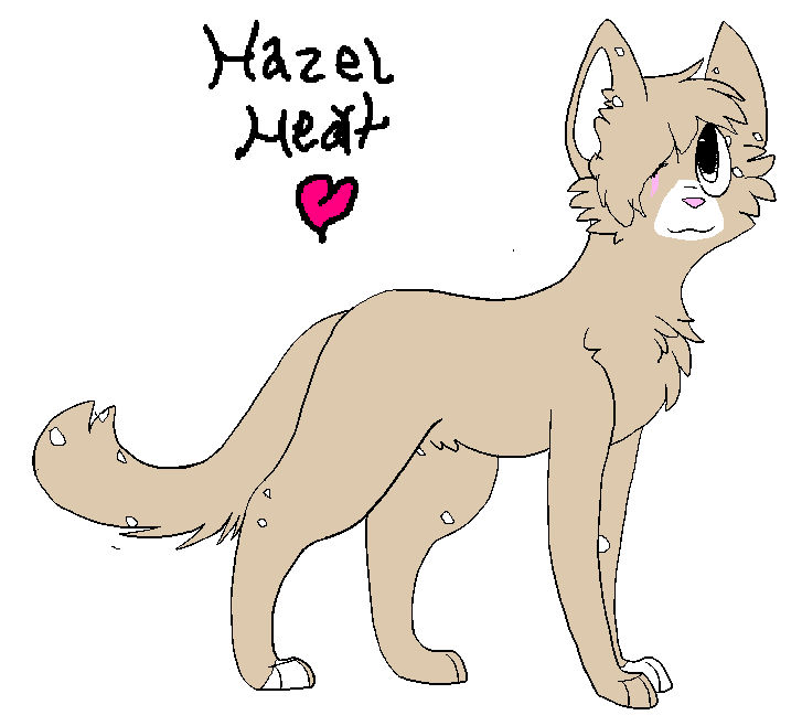 HazelHeart OC By Koiizumis On DeviantArt hazelheart-oc-by-koiizumis-on-deviantart