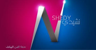 nashedy logo