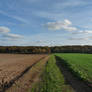 Furrow and germination separated by way