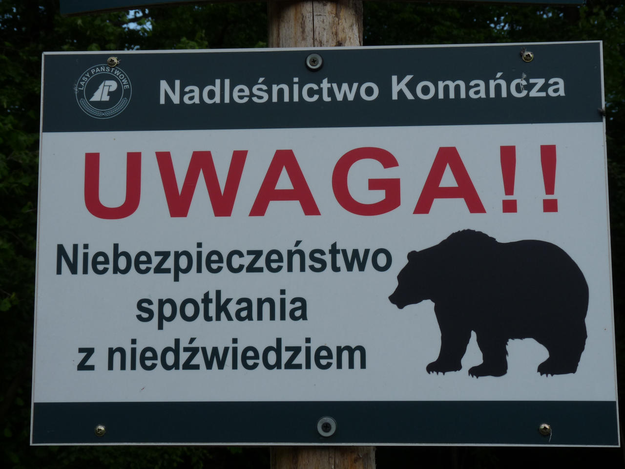 Grizzly Bear Warning Sign