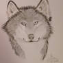 Charcoal Wolf