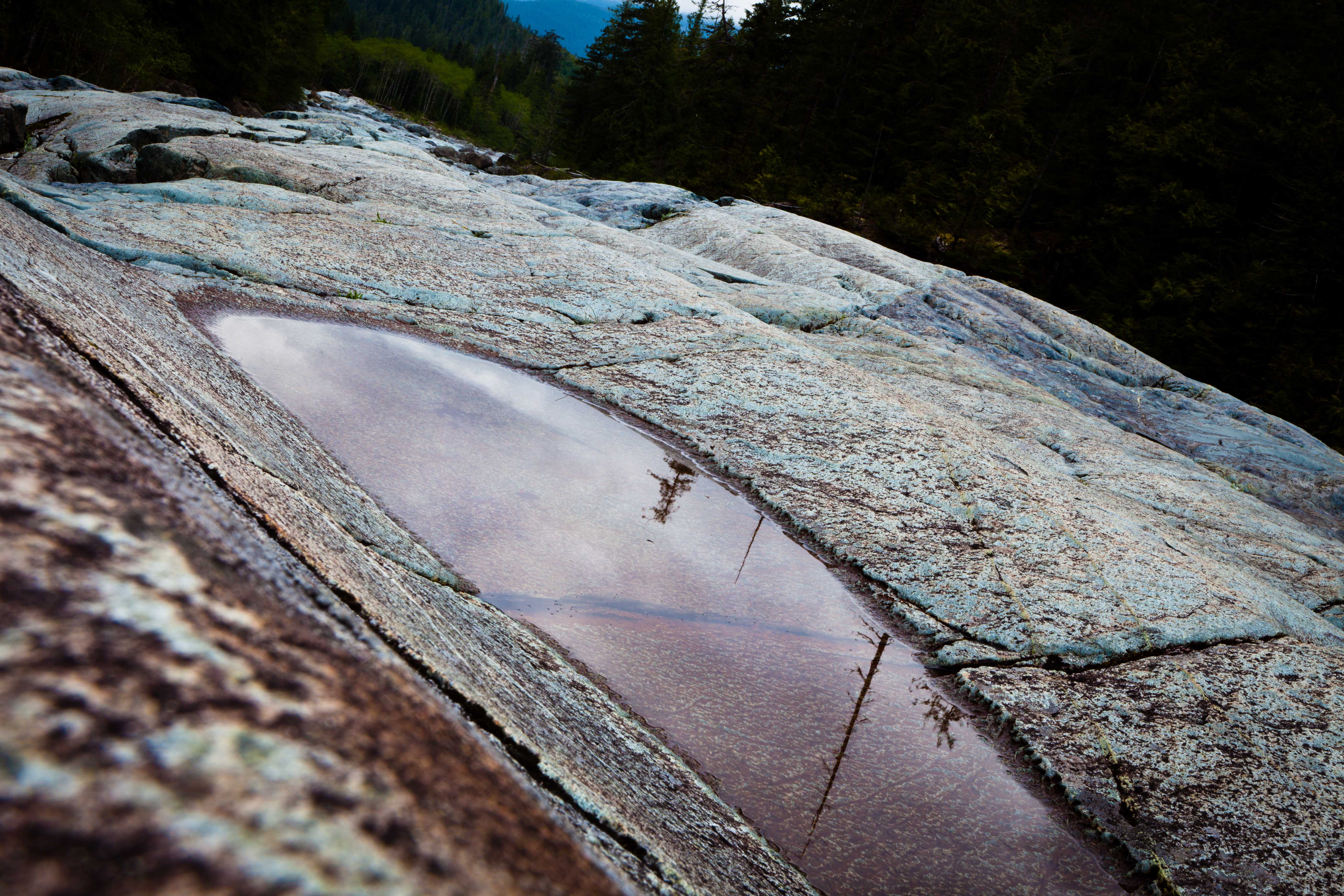 Puddle Reflection