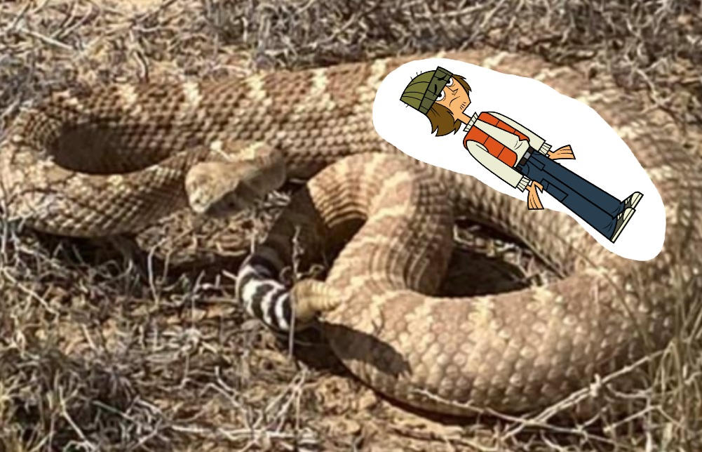 Screenshot Edit : A rattlesnake eats Shawn by JTandTDFan13yearold on ...