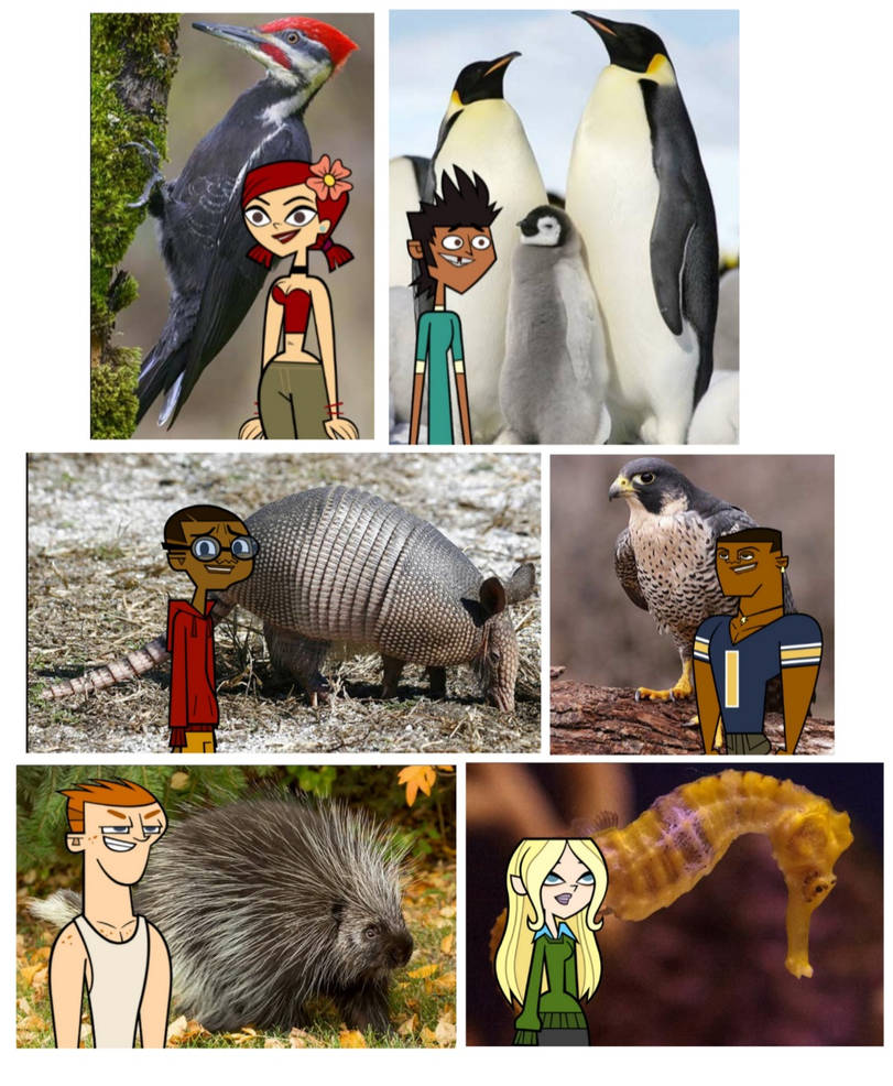 Total Drama Zoo: TDROTI Set #1 by JTandTDFan13yearold on DeviantArt