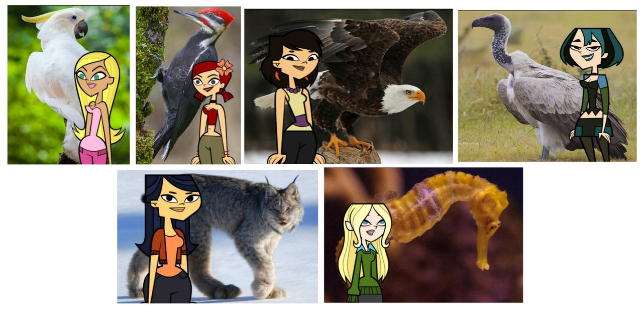 Zoopunk Characters Total Drama Zoo (Punk Bubble Group) by JTandTDFan13yearold on DeviantArt