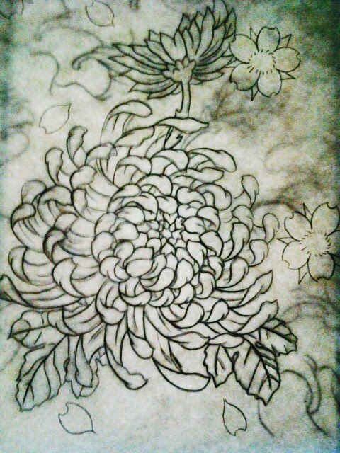 Chrysanthemum flower