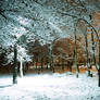 Winter at METU