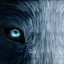 Wolf eyes