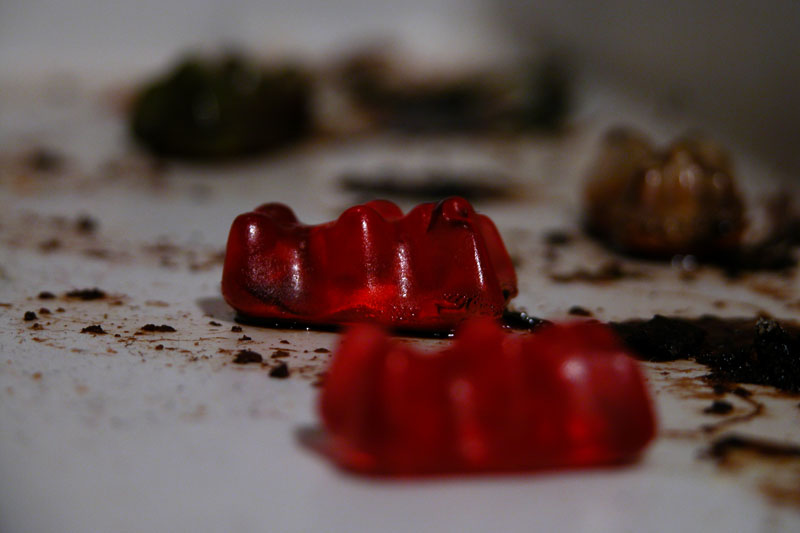 Dead Gummy Bears 1