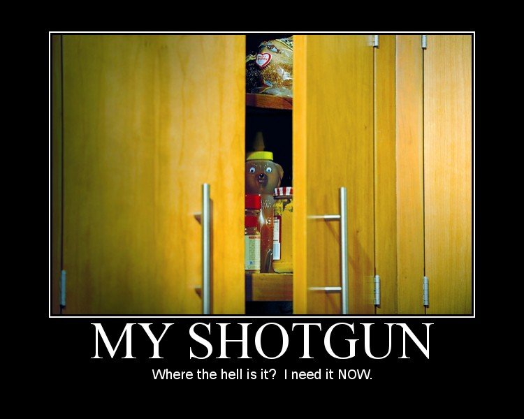 my shotgun