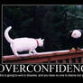 over confidence
