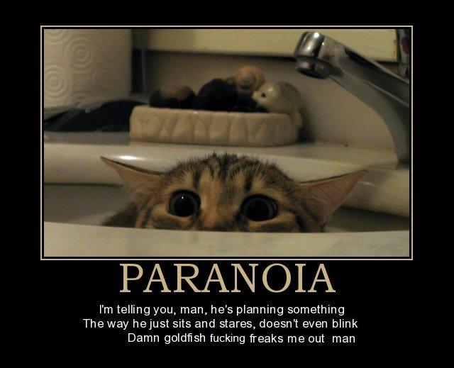 paranoia