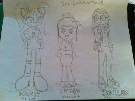 The Codebusters (Honey, Choko and Skrillex)