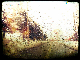 memory from a rainyday perspective