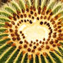 Prickly