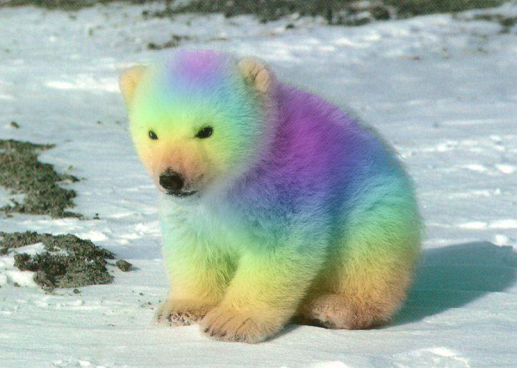 Rainbow Polar Bear by bluemoongem on DeviantArt