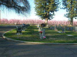 cemetery 2 stock