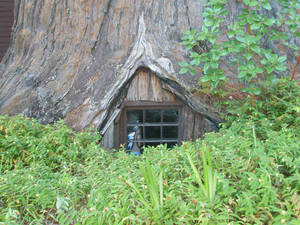 tree house stock