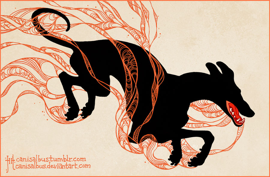 Bewilder by CanisAlbus